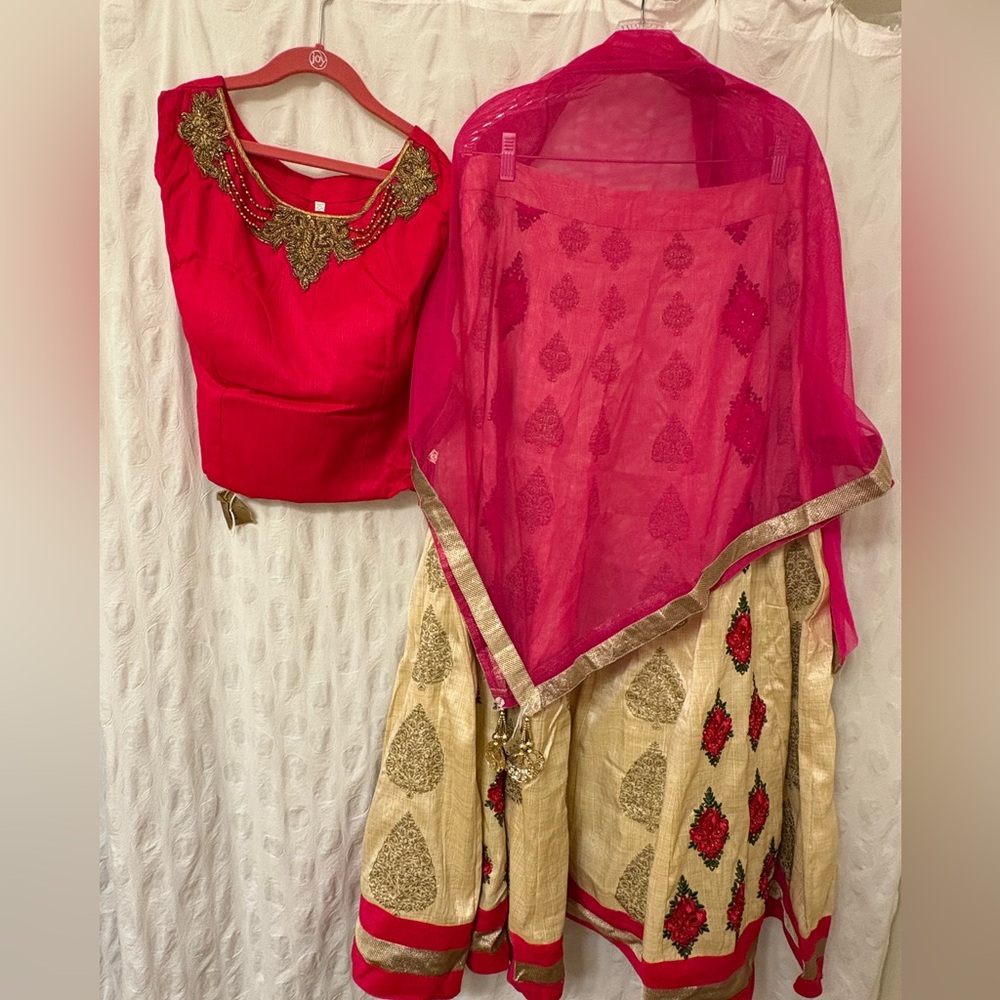 Women’s Pink and Gold Lehenga